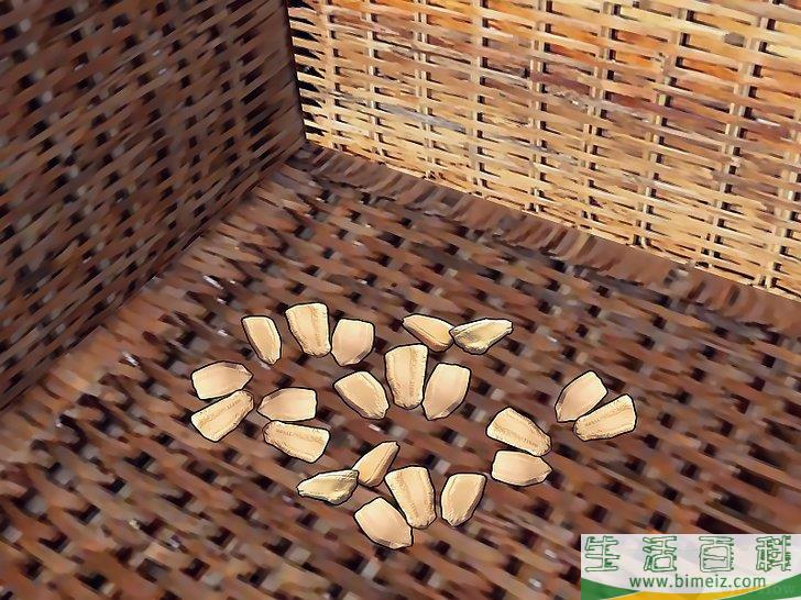 怎么种植葫芦