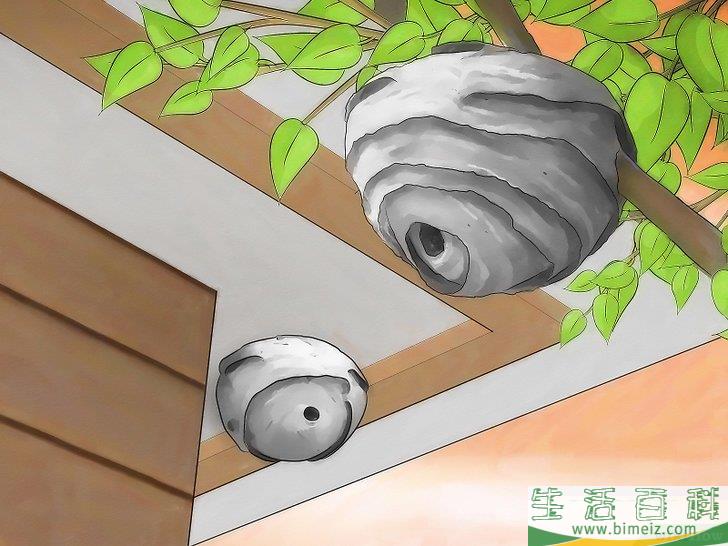 怎么摆脱大黄蜂