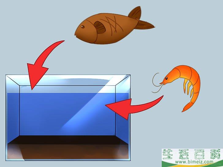 怎么建造自维持的生态系统