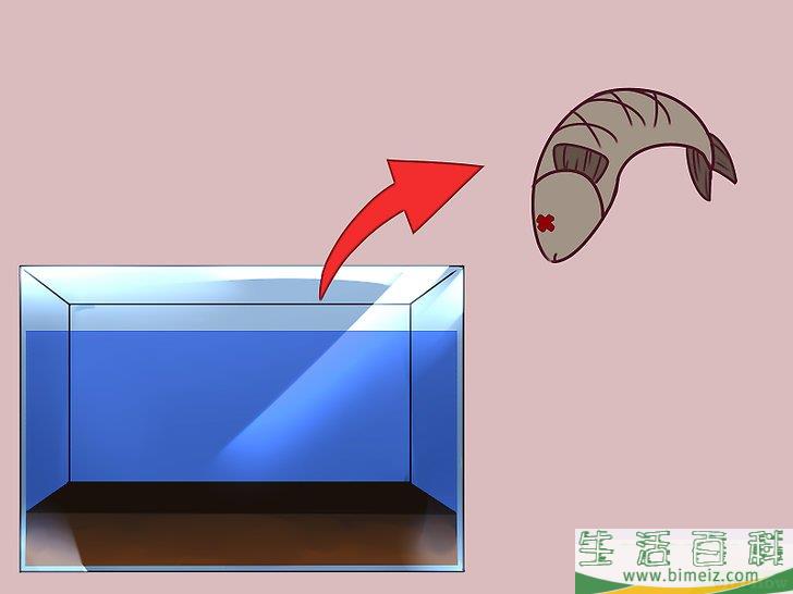怎么建造自维持的生态系统