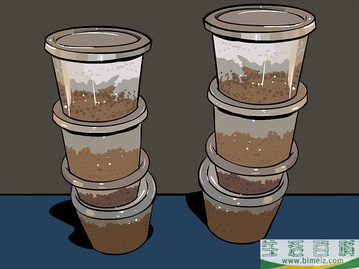 怎么种蘑菇