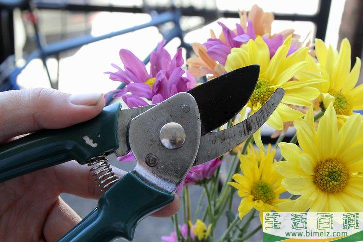 怎么照顾鲜花