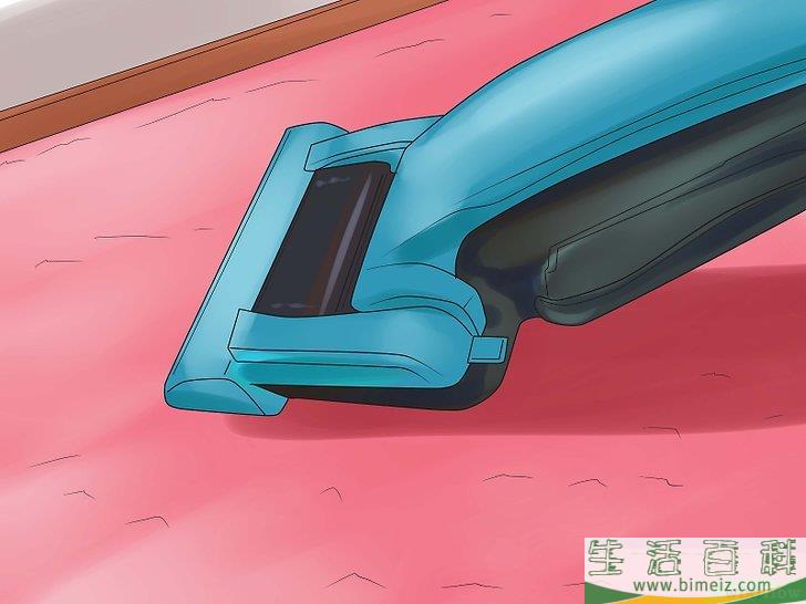 怎么清除地毯上的宠物尿渍