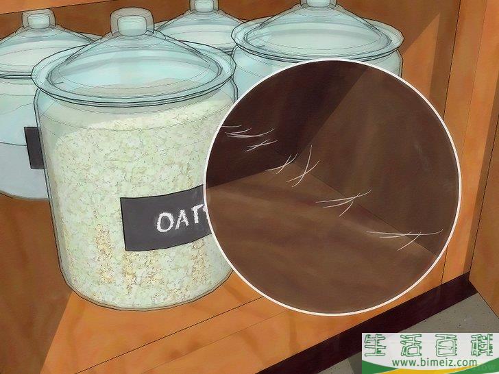 怎么清除蛾子