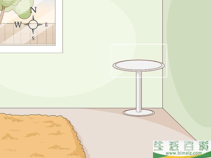 怎么照料白鹤芋
