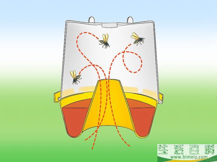 怎么防范黄蜂
