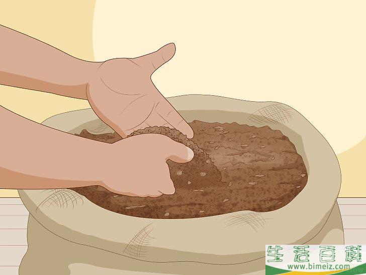 怎么照料白鹤芋