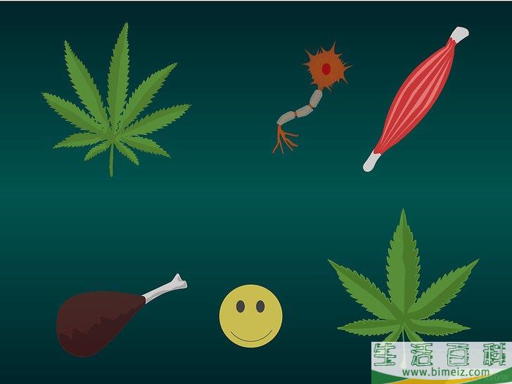怎么种植医用大麻