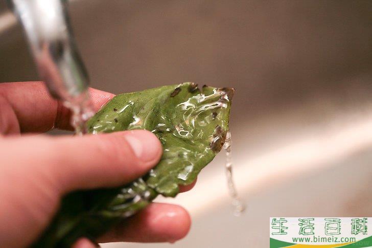怎么风干罗勒叶