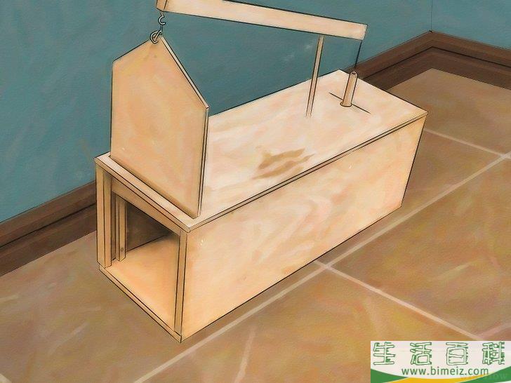 怎么以自然方法驱逐老鼠