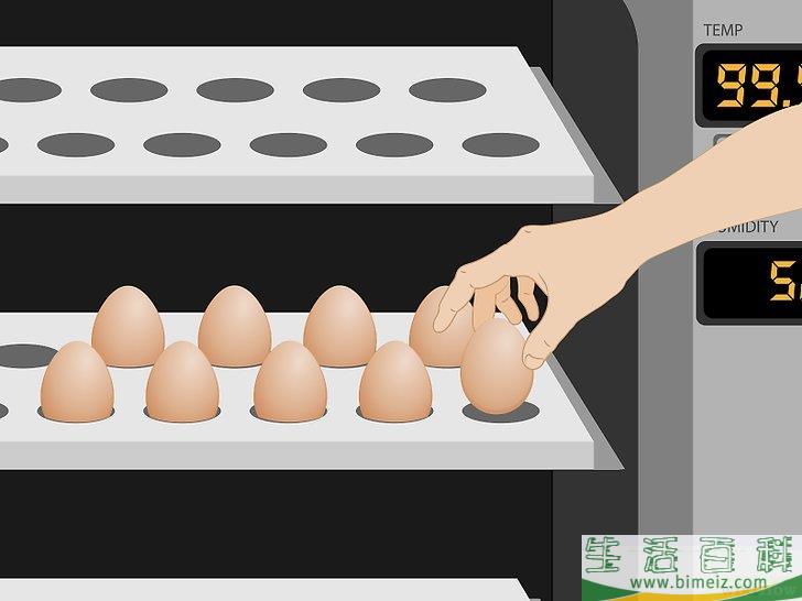 怎么孵化鸡蛋