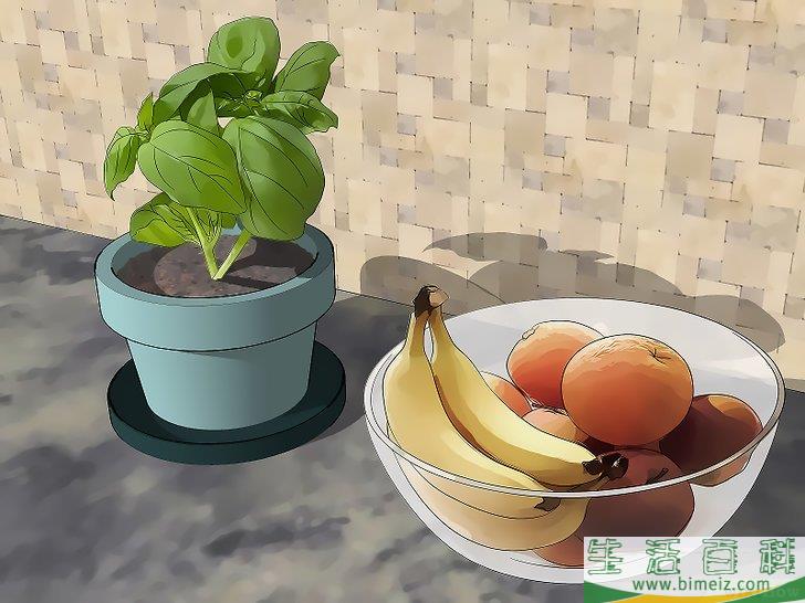 怎么消灭果蝇