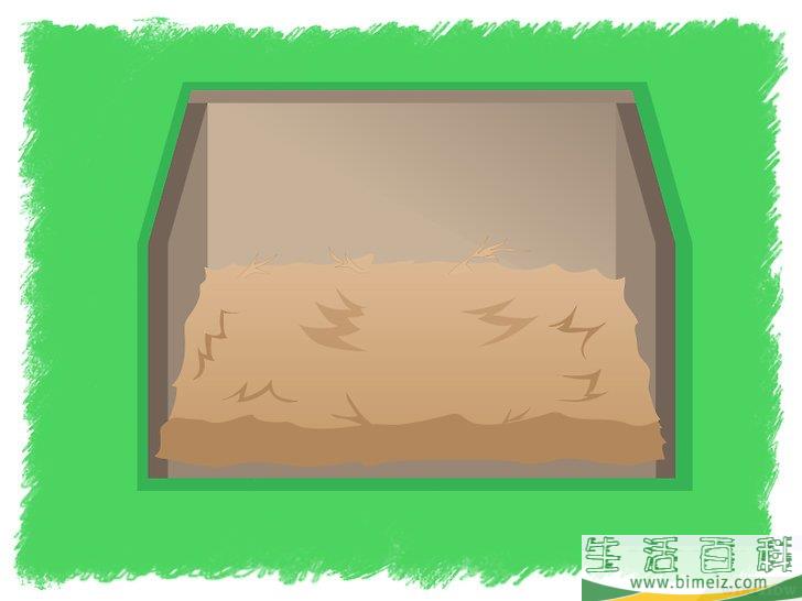怎么孵化鸡蛋