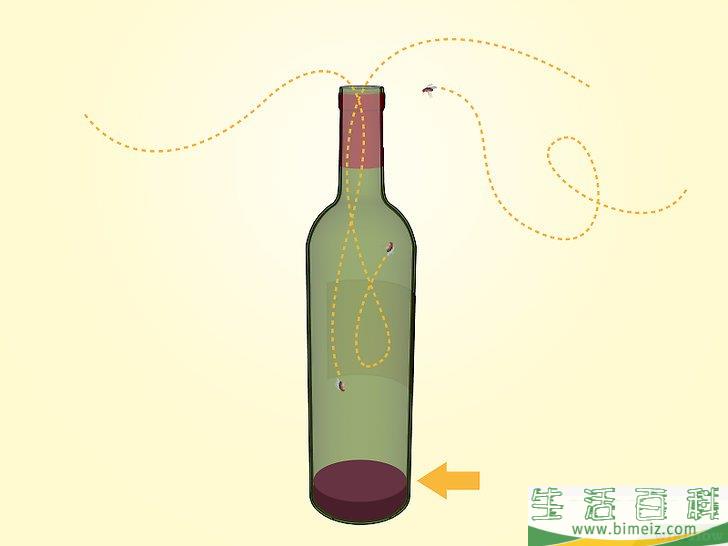 怎么消灭果蝇