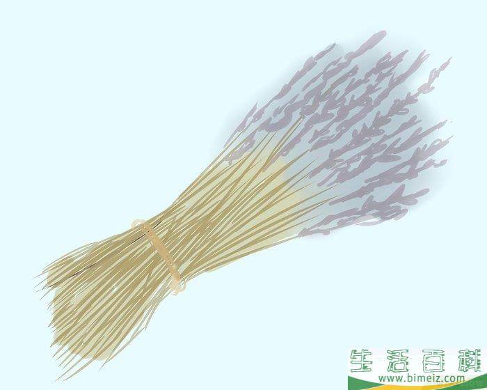 怎么修剪薰衣草