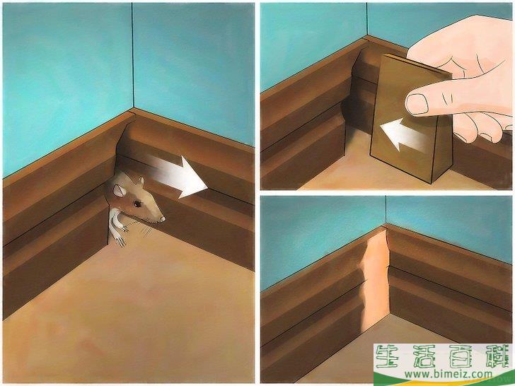 怎么以自然方法驱逐老鼠