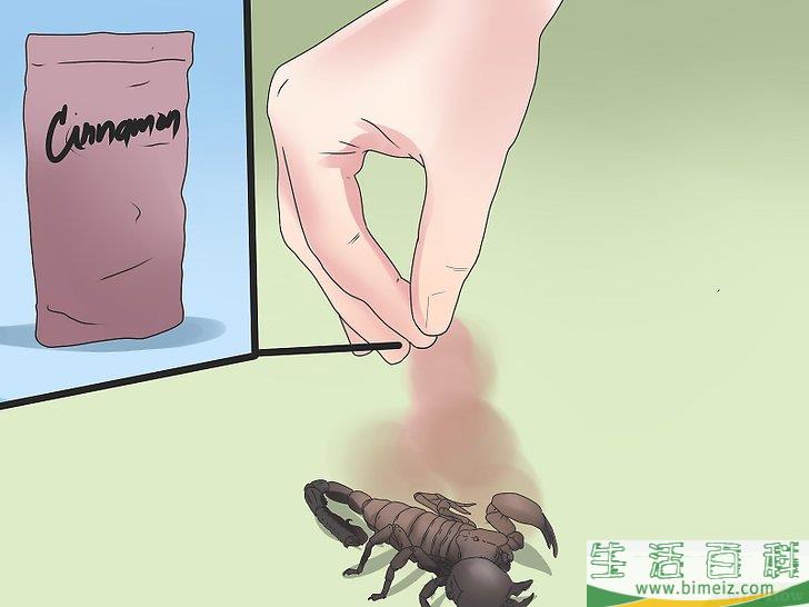 怎么清除蝎子