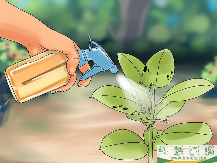 怎么制作生物农药
