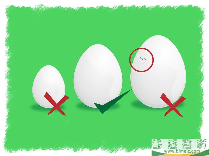 怎么孵化鸡蛋