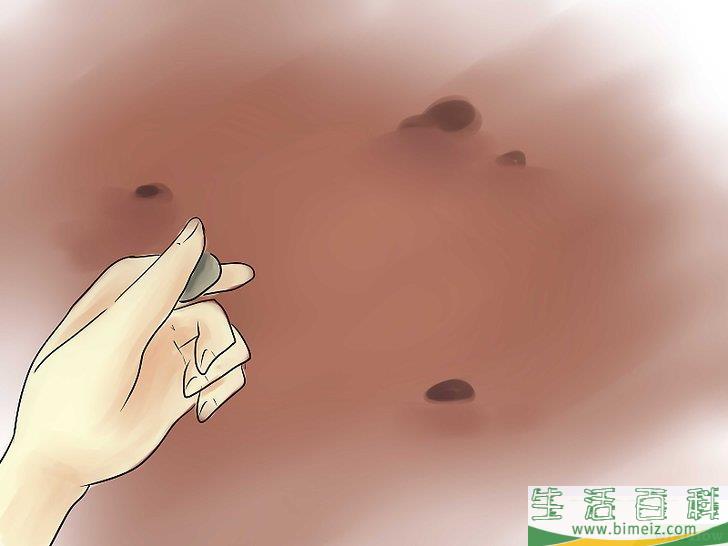 怎么种植红薯