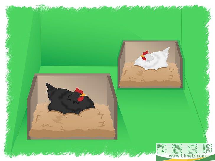 怎么孵化鸡蛋