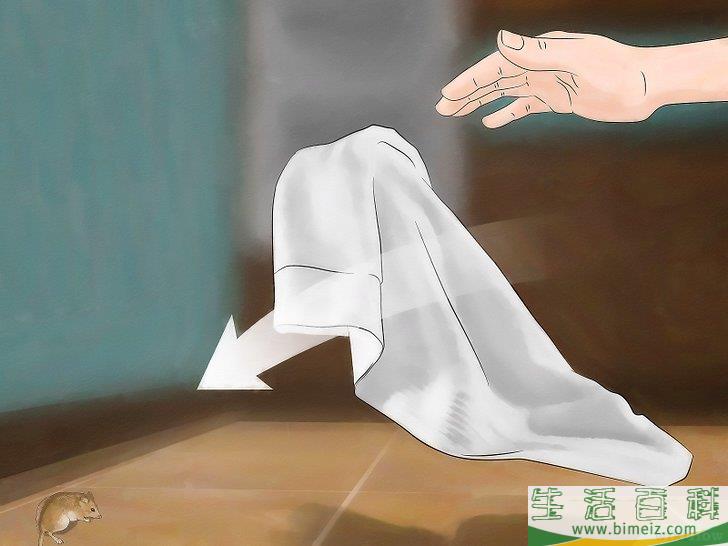 怎么以自然方法驱逐老鼠