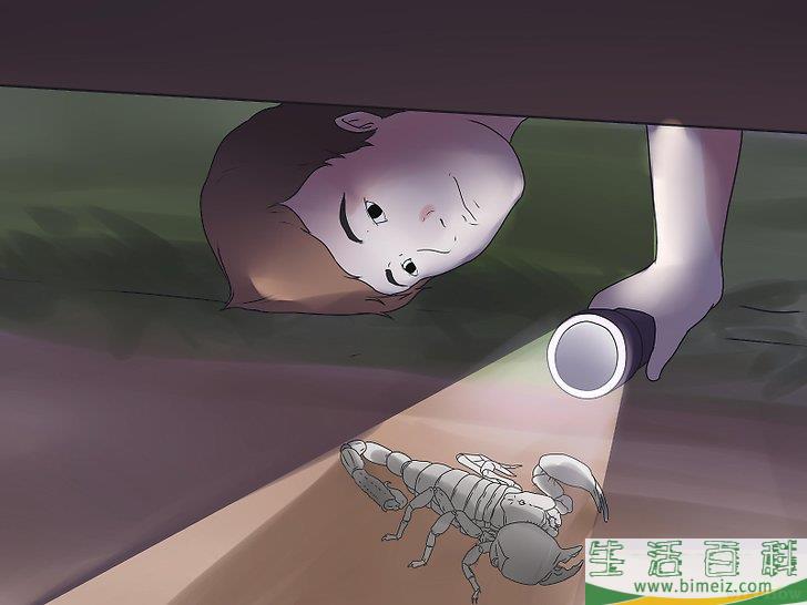 怎么清除蝎子