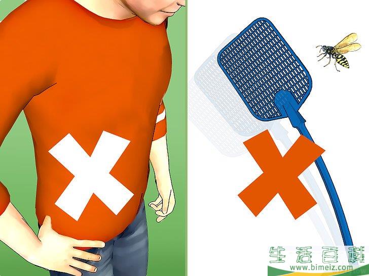怎么防范黄蜂
