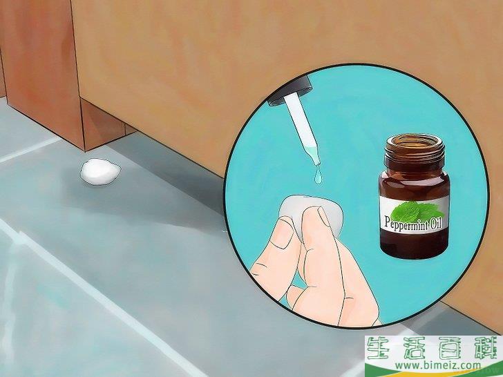 怎么以自然方法驱逐老鼠