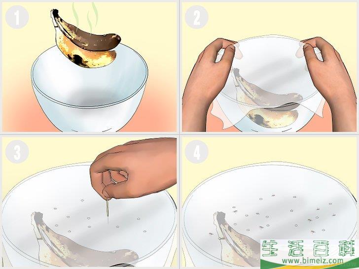 怎么消灭果蝇