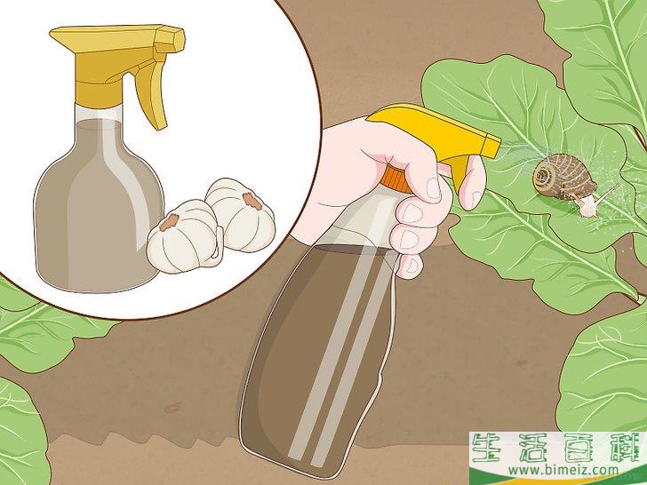 怎么使园林免受蜗牛侵害