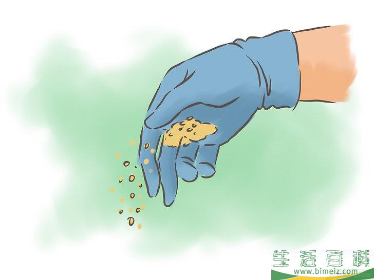 怎么种百香果