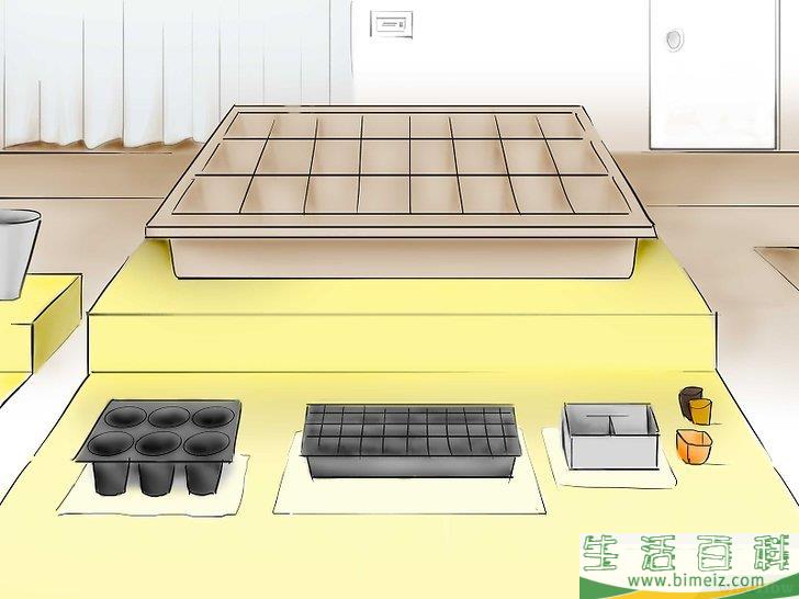 怎么用种子种植番茄