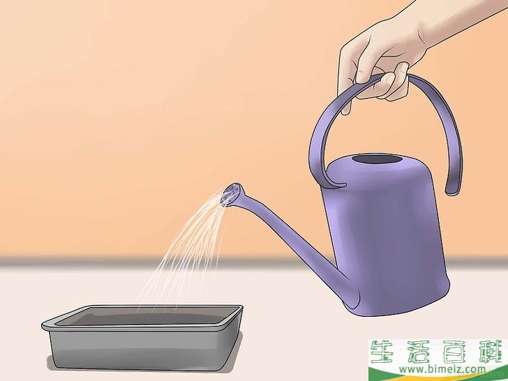 怎么种植合法的大麻