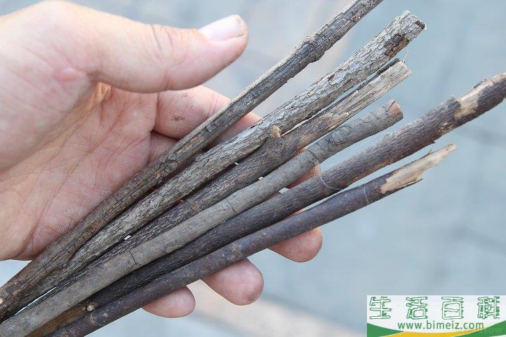 怎么在没有火柴或打火机的情况下生火