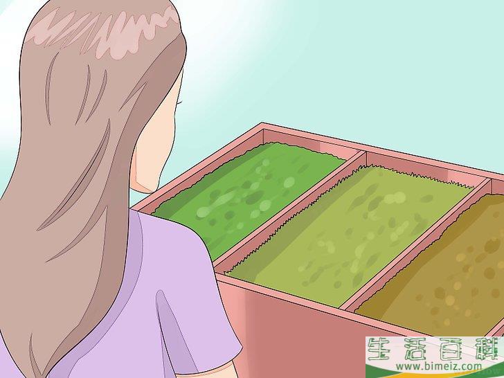 怎么种植苔藓