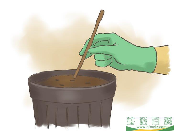 怎么种百香果