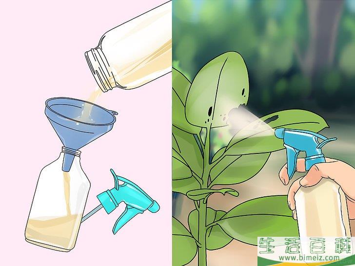 怎么制作生物农药
