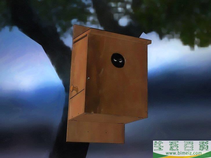 怎么以自然方法驱逐老鼠