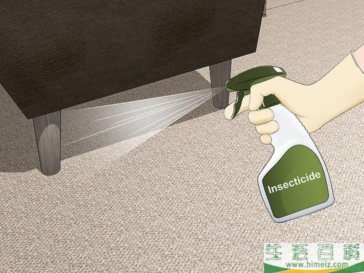怎么消灭跳蚤