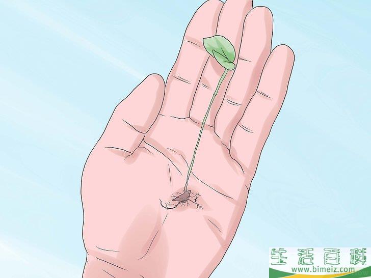 怎么种竹子