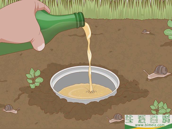 怎么使园林免受蜗牛侵害