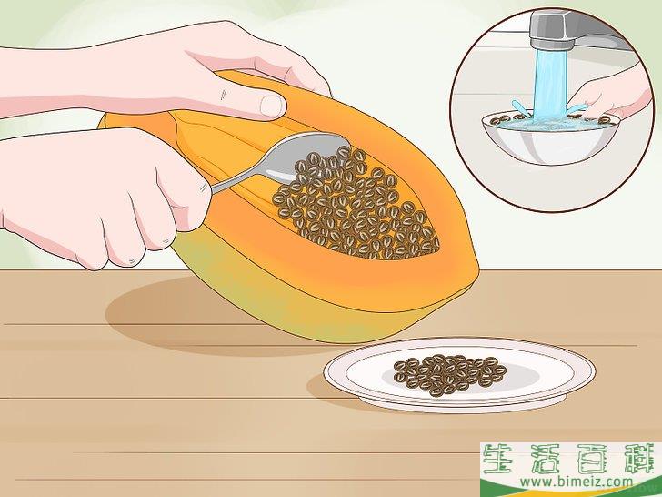 怎么种木瓜
