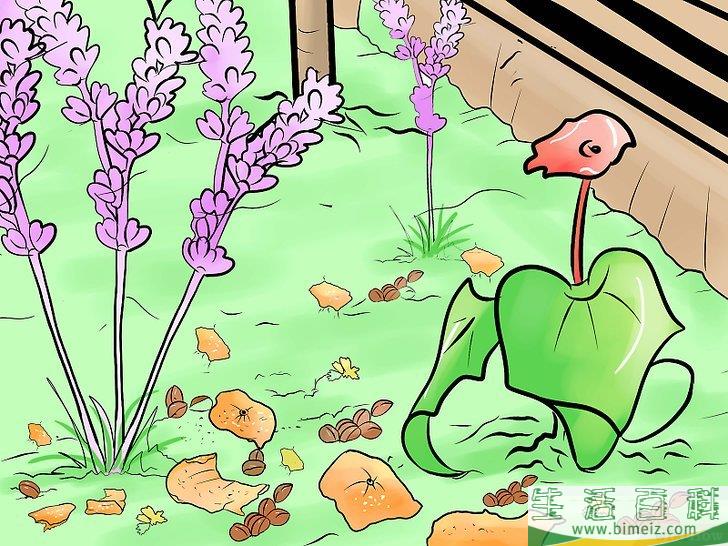 怎么防止猫进入你的花园