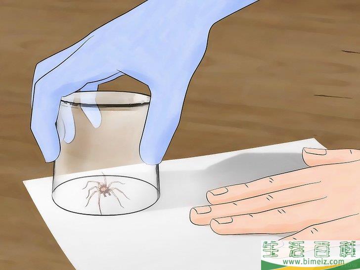 怎么去除狼蛛