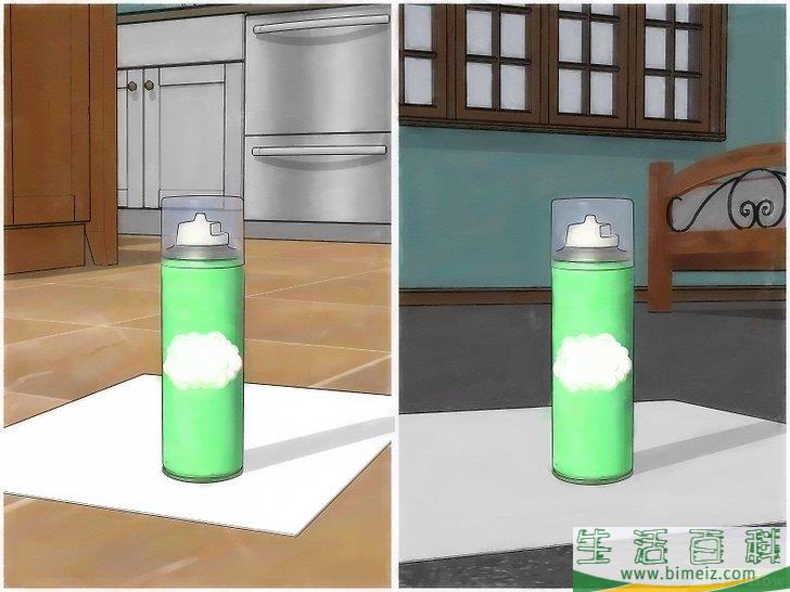 怎么用跳蚤炸弹消灭屋子里的跳蚤