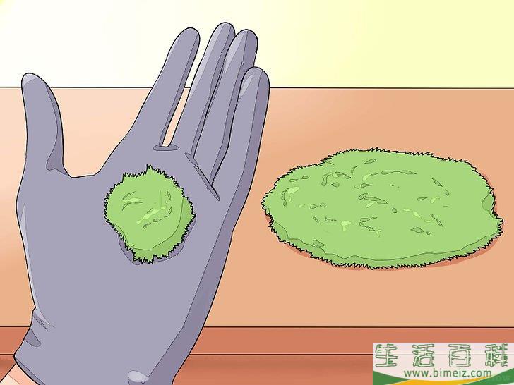 怎么种植苔藓