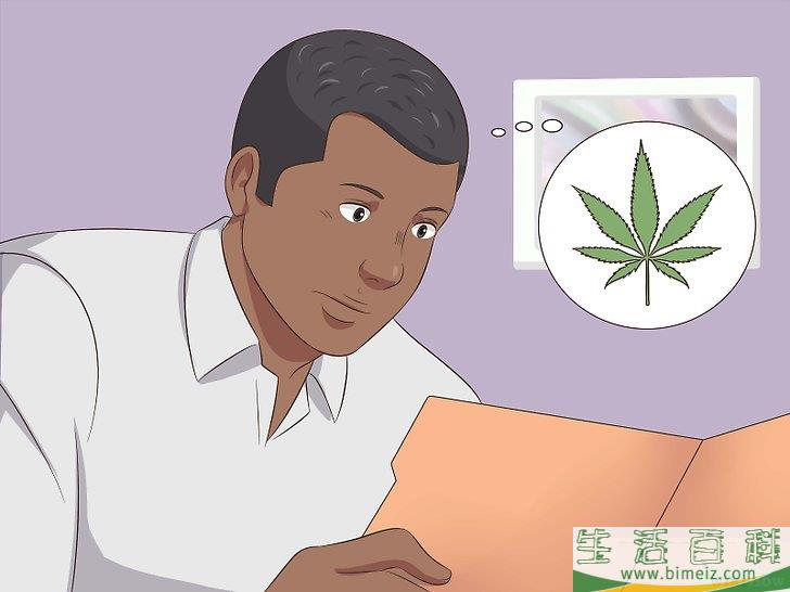 怎么种植合法的大麻