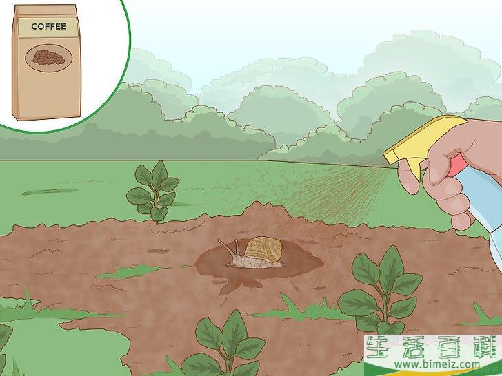 怎么使园林免受蜗牛侵害