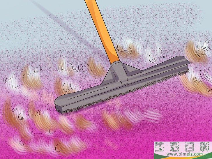 怎么清洗地毯